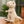 Load image into Gallery viewer, Just Play Jurassic World Rebirth T. rex Plush Toy
