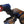 Load image into Gallery viewer, Adasaurus mongoliensis
